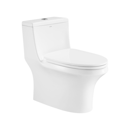 Compact One Piece Toilets Dual Flush 0.8gpf Elongated Bowl 5 Liters