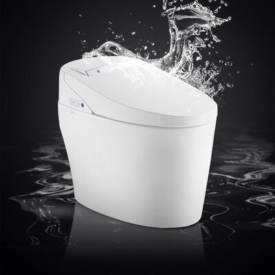 ARROW Brand Ceramic Smart Toilet with Siphon Jet Flushing Self-cleaning Glaze and Buttocks Washing Function