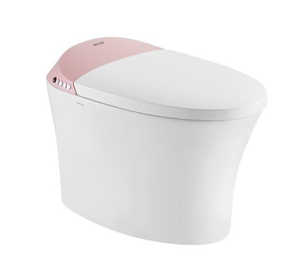 ARROW Brand One-piece Electronic Smart Toilet with Siphon Jet Flushing, Buttocks Washing, and Self-cleaning Smooth Glaze