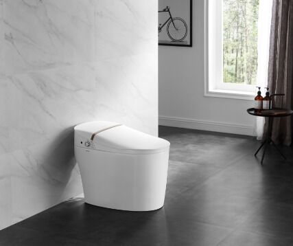 Arrow Modern Smart Toilet with Siphon Jet Flushing One Piece Structure and Self-cleaning Smooth Glazed Ceramic
