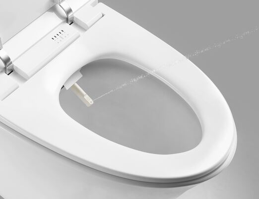 Arrow Brand Modern Smart Toilet with Ceramic Material Concealed Tank and Automatic Operation